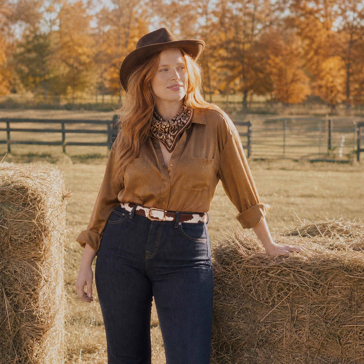 Classic Belt - Cow Brown